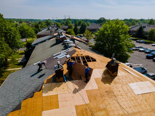 Best Storm Damage Roof Repair  in Brooklyn, WI